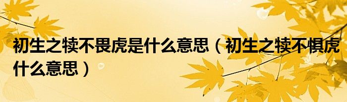初生之犊不畏虎是什么意思（初生之犊不惧虎什么意思）