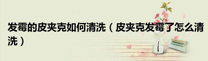 发霉的皮夹克如何清洗（皮夹克发霉了怎么清洗）