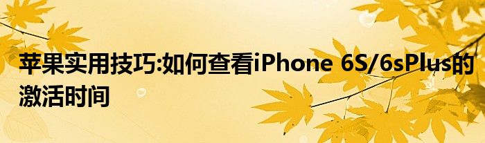 苹果实用技巧:如何查看iPhone 6S/6sPlus的激活时间