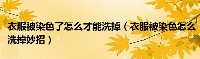 衣服被染色了怎么才能洗掉（衣服被染色怎么洗掉妙招）