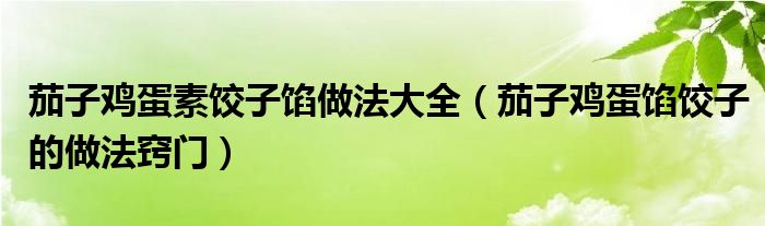 茄子鸡蛋素饺子馅做法大全（茄子鸡蛋馅饺子的做法窍门）