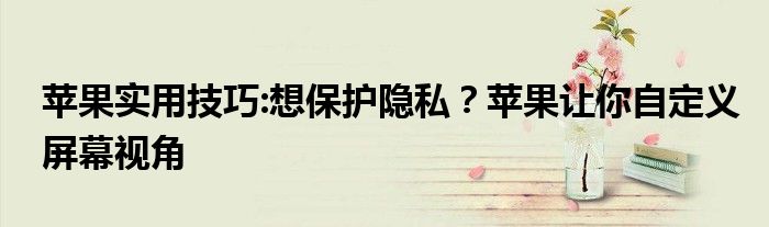 苹果实用技巧:想保护隐私？苹果让你自定义屏幕视角