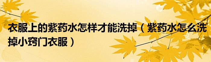 衣服上的紫药水怎样才能洗掉（紫药水怎么洗掉小窍门衣服）