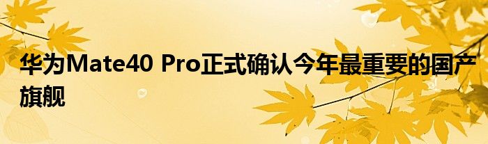 华为Mate40 Pro正式确认今年最重要的国产旗舰