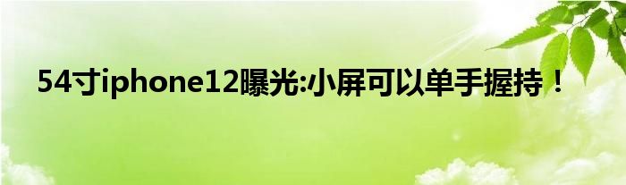 54寸iphone12曝光:小屏可以单手握持！