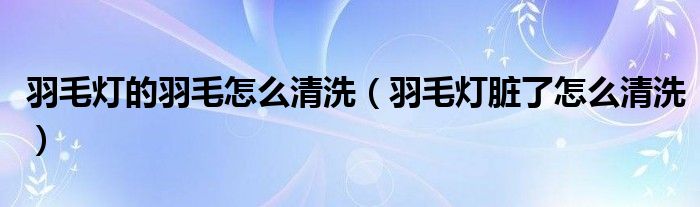 羽毛灯的羽毛怎么清洗（羽毛灯脏了怎么清洗）