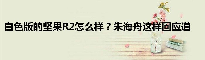 白色版的坚果R2怎么样？朱海舟这样回应道