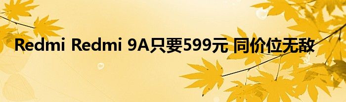 Redmi Redmi 9A只要599元 同价位无敌