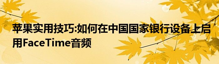 苹果实用技巧:如何在中国国家银行设备上启用FaceTime音频