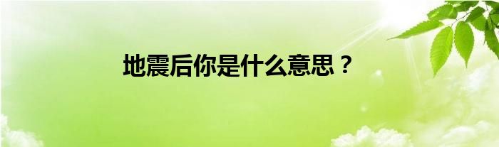 地震后你是什么意思？