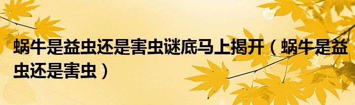 蜗牛是益虫还是害虫谜底马上揭开（蜗牛是益虫还是害虫）