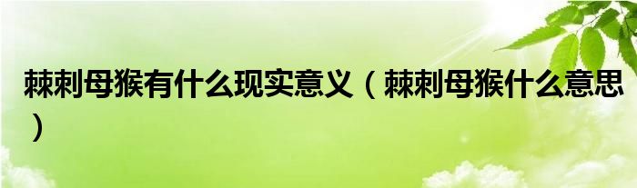 棘刺母猴有什么现实意义（棘刺母猴什么意思）