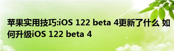 苹果实用技巧:iOS 122 beta 4更新了什么 如何升级iOS 122 beta 4