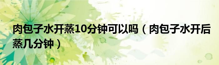 肉包子水开蒸10分钟可以吗（肉包子水开后蒸几分钟）