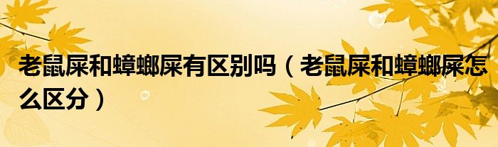 老鼠屎和蟑螂屎有区别吗（老鼠屎和蟑螂屎怎么区分）