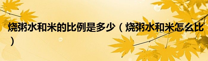 烧粥水和米的比例是多少（烧粥水和米怎么比）