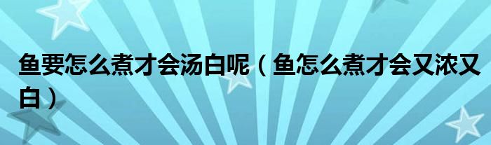 鱼要怎么煮才会汤白呢（鱼怎么煮才会又浓又白）