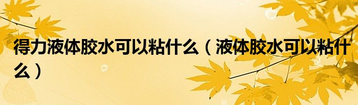 得力液体胶水可以粘什么（液体胶水可以粘什么）