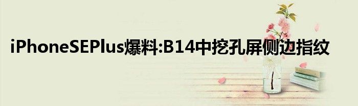 iPhoneSEPlus爆料:B14中挖孔屏侧边指纹