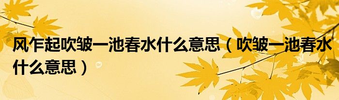 风乍起吹皱一池春水什么意思（吹皱一池春水什么意思）