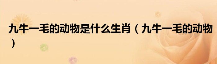 九牛一毛的动物是什么生肖（九牛一毛的动物）