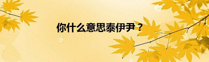你什么意思泰伊尹？