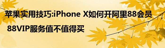 苹果实用技巧:iPhone X如何开阿里88会员| 88VIP服务值不值得买