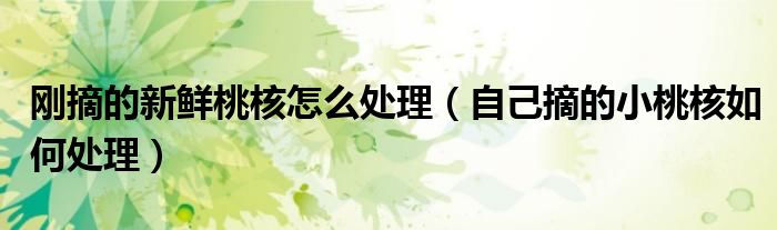 刚摘的新鲜桃核怎么处理（自己摘的小桃核如何处理）