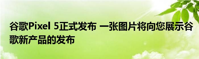 谷歌Pixel 5正式发布 一张图片将向您展示谷歌新产品的发布