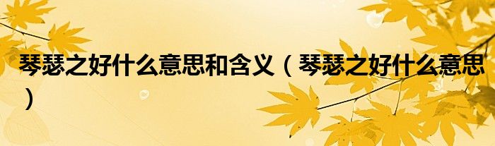 琴瑟之好什么意思和含义（琴瑟之好什么意思）