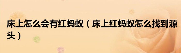 床上怎么会有红蚂蚁（床上红蚂蚁怎么找到源头）