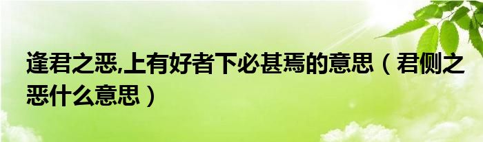 逢君之恶,上有好者下必甚焉的意思（君侧之恶什么意思）