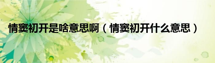 情窦初开是啥意思啊（情窦初开什么意思）