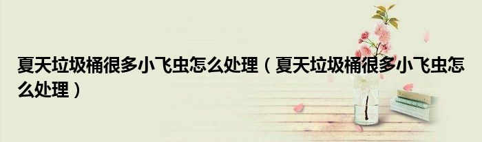 夏天垃圾桶很多小飞虫怎么处理（夏天垃圾桶很多小飞虫怎么处理）