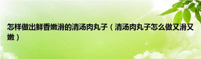 怎样做出鲜香嫩滑的清汤肉丸子（清汤肉丸子怎么做又滑又嫩）