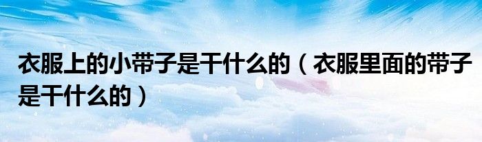衣服上的小带子是干什么的（衣服里面的带子是干什么的）