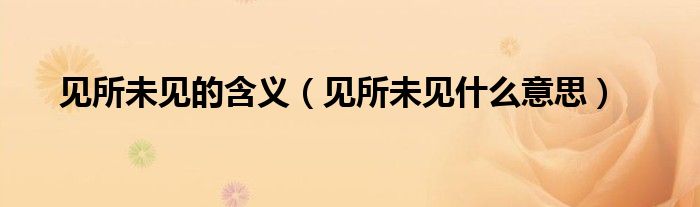 见所未见的含义（见所未见什么意思）