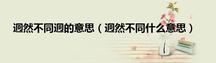 迥然不同迥的意思（迥然不同什么意思）