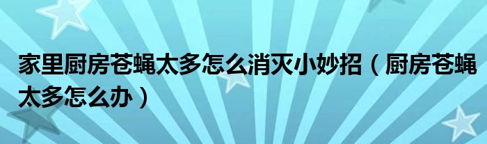 家里厨房苍蝇太多怎么消灭小妙招（厨房苍蝇太多怎么办）