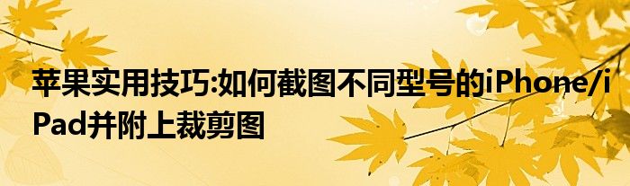 苹果实用技巧:如何截图不同型号的iPhone/iPad并附上裁剪图