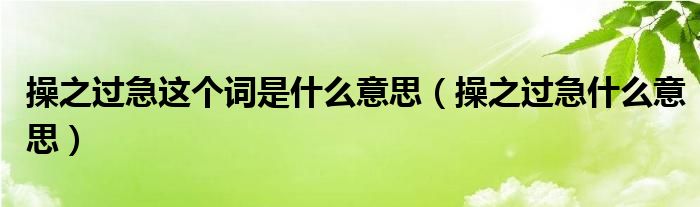 操之过急这个词是什么意思（操之过急什么意思）