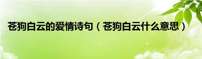 苍狗白云的爱情诗句（苍狗白云什么意思）