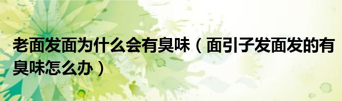 老面发面为什么会有臭味（面引子发面发的有臭味怎么办）
