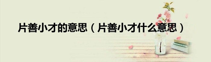 片善小才的意思（片善小才什么意思）