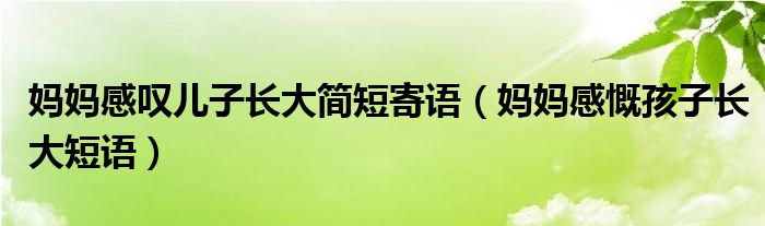 妈妈感叹儿子长大简短寄语（妈妈感慨孩子长大短语）