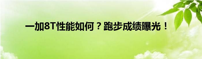 一加8T性能如何？跑步成绩曝光！