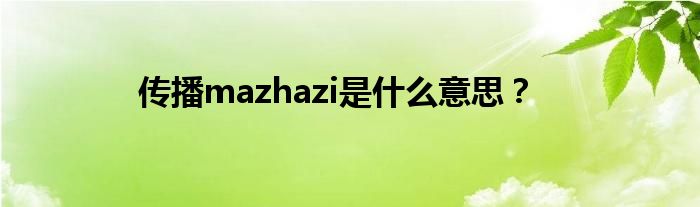 传播mazhazi是什么意思？