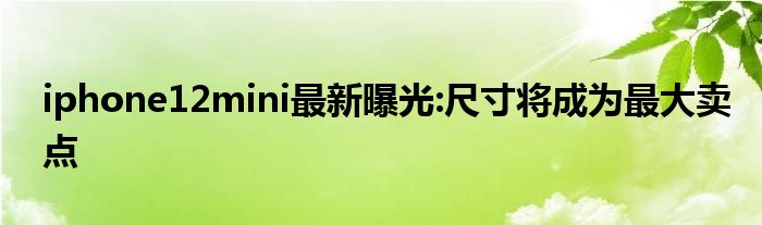 iphone12mini最新曝光:尺寸将成为最大卖点