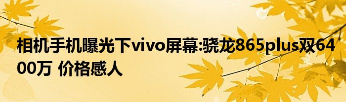 相机手机曝光下vivo屏幕:骁龙865plus双6400万 价格感人