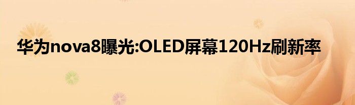 华为nova8曝光:OLED屏幕120Hz刷新率